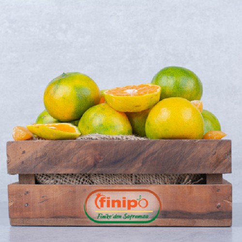 Finike Valencia (Yaz) Portakalı